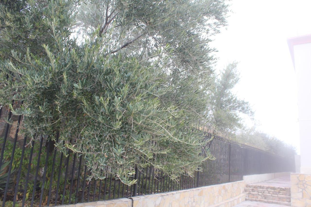 Asas Al Jabal Al Akhdar Apartments شقق أساس الجبل الأخضر Sayq Екстериор снимка